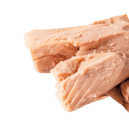 Tuna isolated