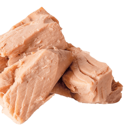 Tuna isolated