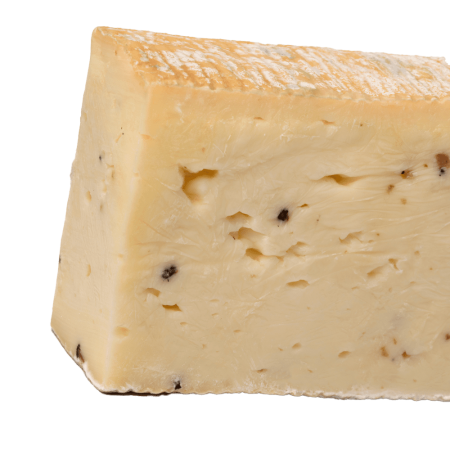 Taleggio and Quartirolo isolated